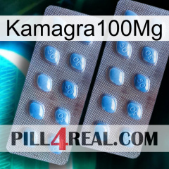Kamagra100Mg viagra4
